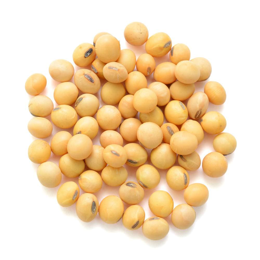Soyabin Whole-image-0