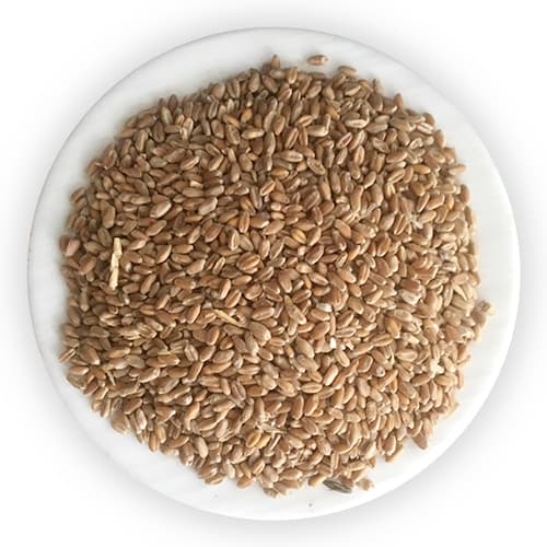 Astto Gom (Whole wheat)-image-0